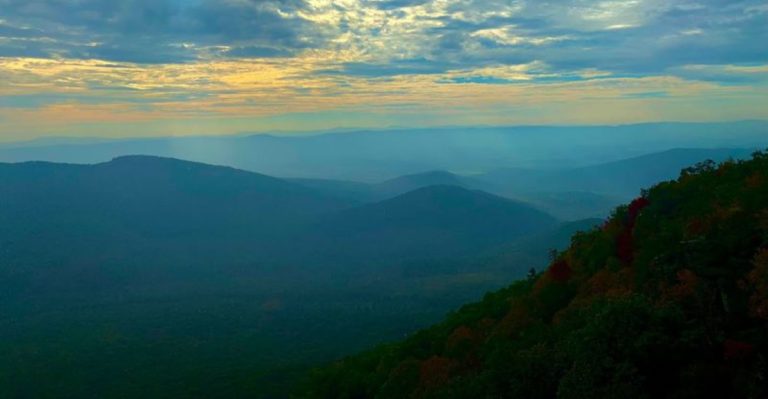 Wander Along This Virginia Forest Trail And Feel The Magic Around You