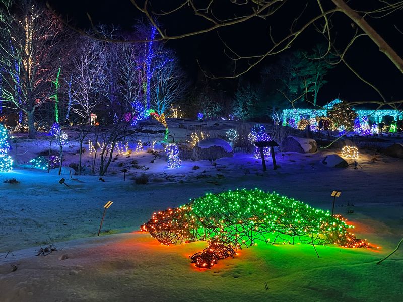 Wander Through A Forest Where Mushrooms Glow And Stars Shoot By