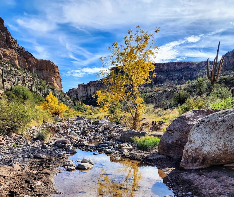 Wander Through Superior As Fall Arrives