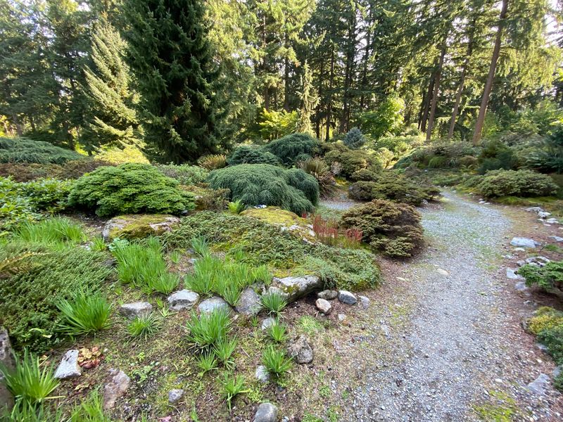 Wandering The Maze Of Woodland Trails