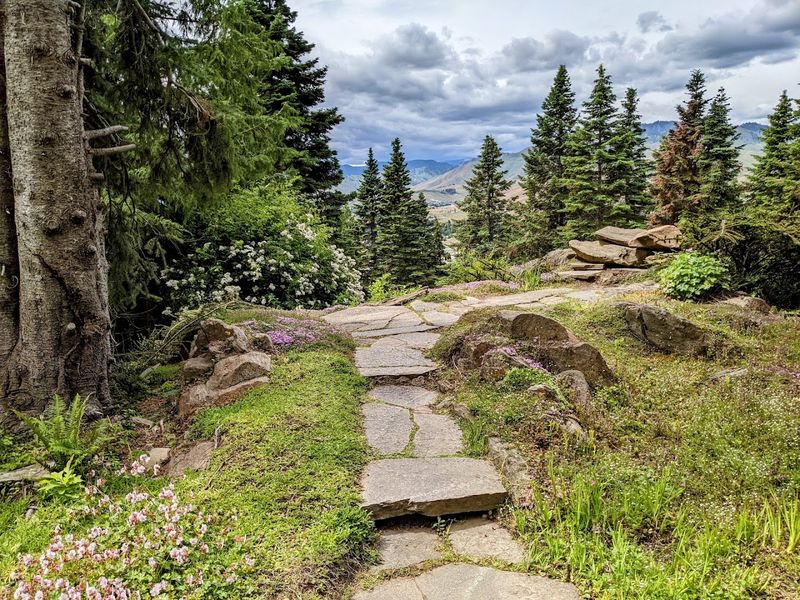 Wandering Through An Evergreen Oasis Wandering Through An Evergreen Oasis