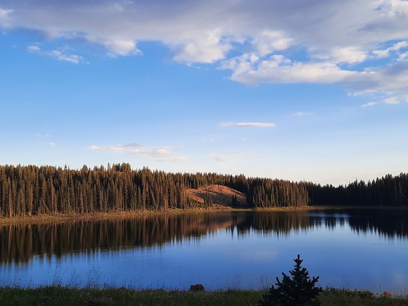 Ward Lake Campground - Grand Mesa