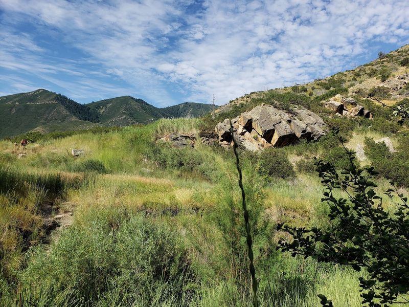 A Backdrop That Belongs On A Postcard