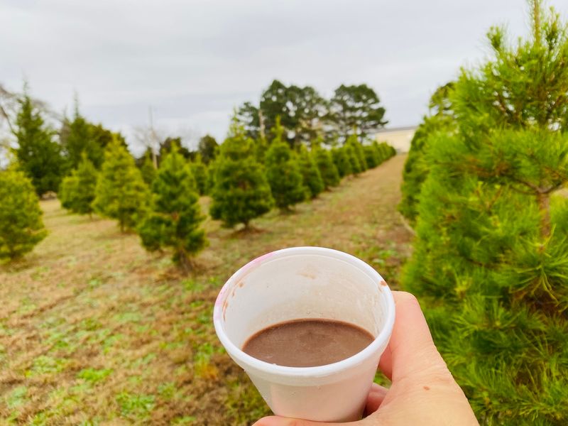 Warm Up With Free Cocoa And Homemade Goodies