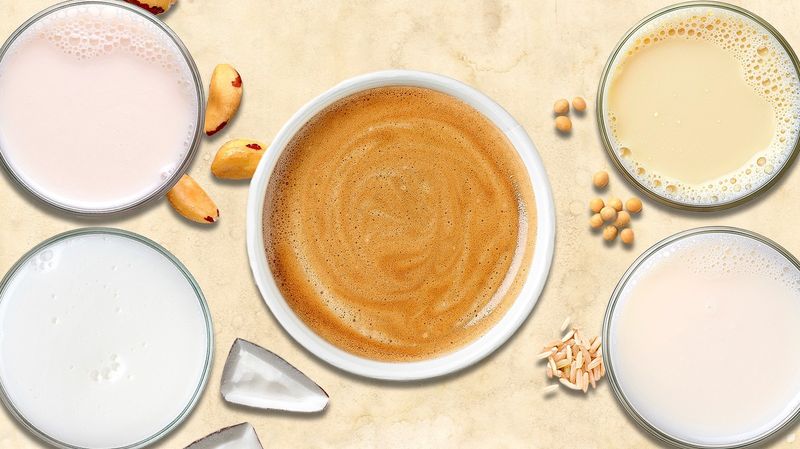 Experiment With Milk and Alternative Milks