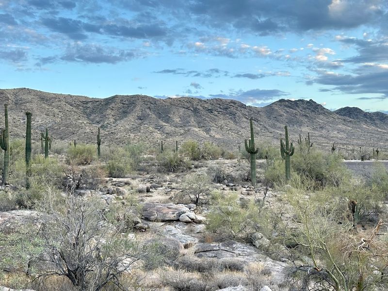 Warpaint Loop Trail, South Mountain Park, Phoenix Warpaint Loop Trail, South Mountain Park, Phoenix