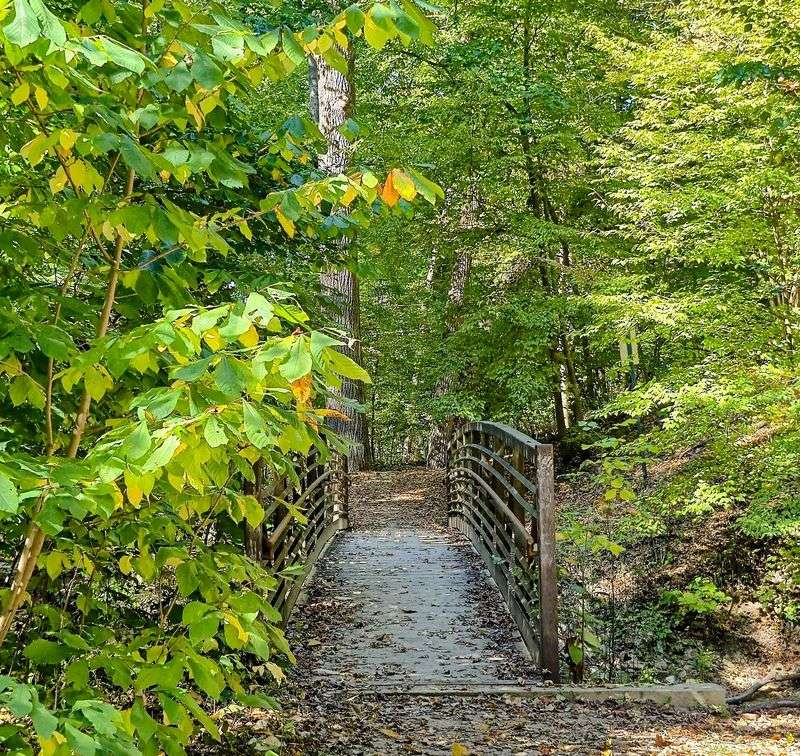 Warren Woods State Park - Berrien County