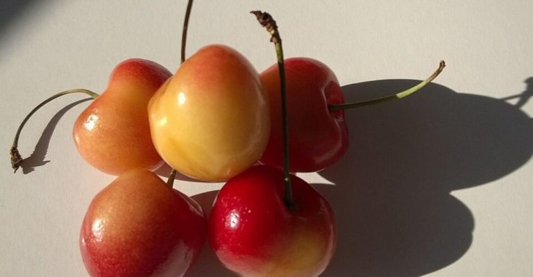 Washington Has 14 Foods That Turn First Bites Into Obsessions