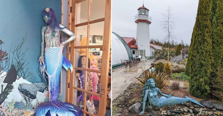 Washington Is Home To A Mermaid Museum And Yes, It’s Every Bit As Magical As It Sounds