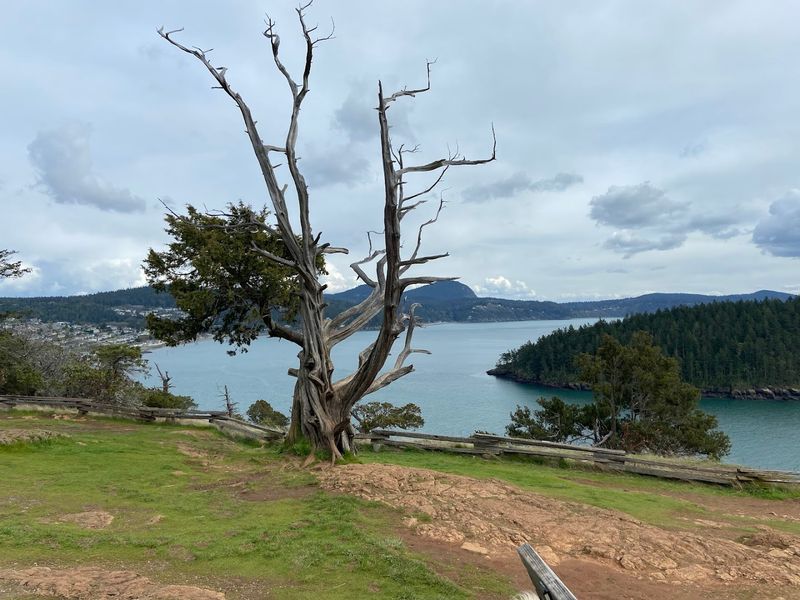 Washington Park, Anacortes Washington Park, Anacortes