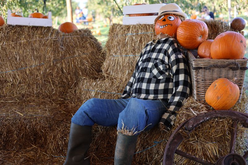 Watch A Pumpkin Take Flight