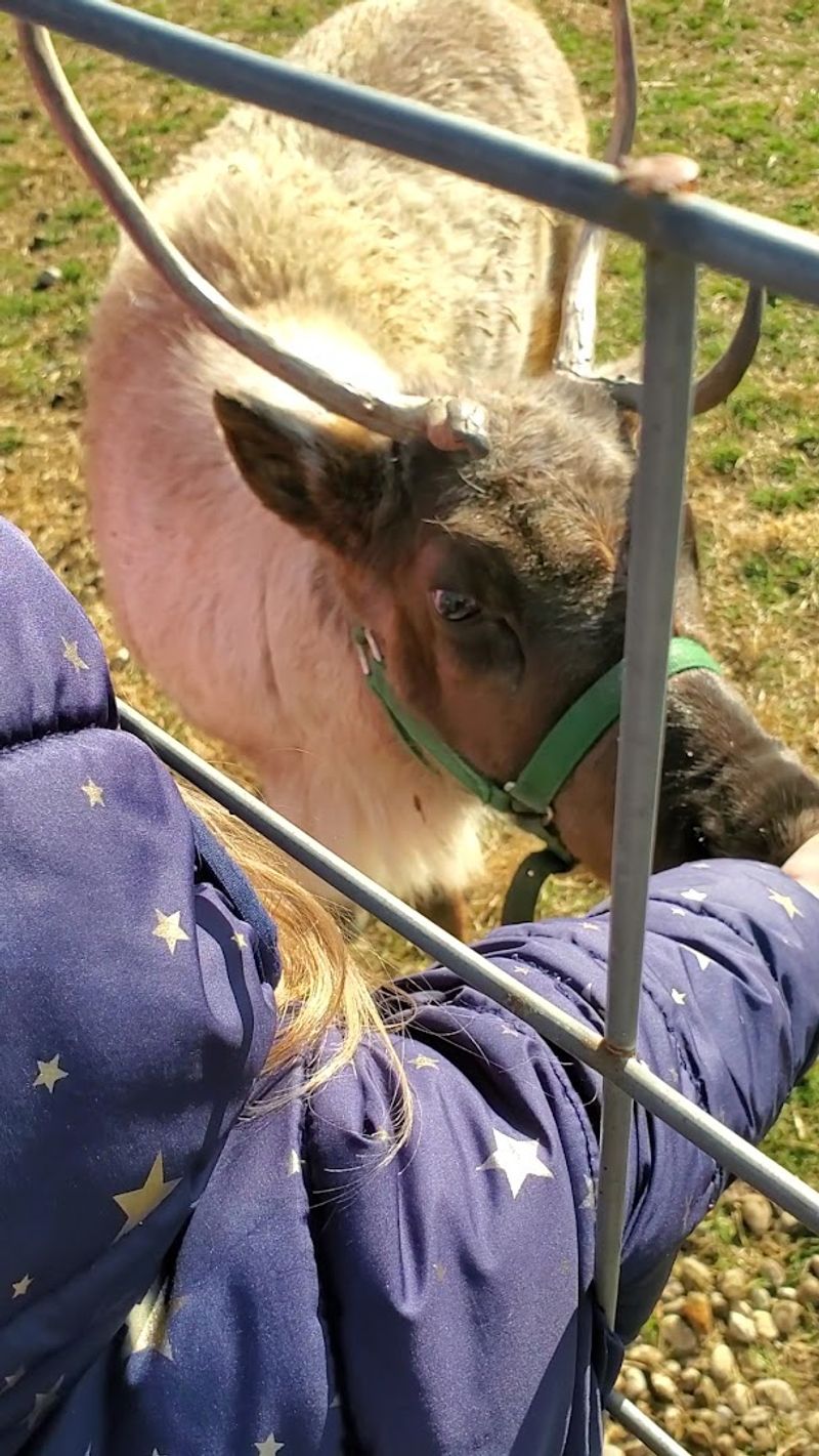 Watch For Spring Babies