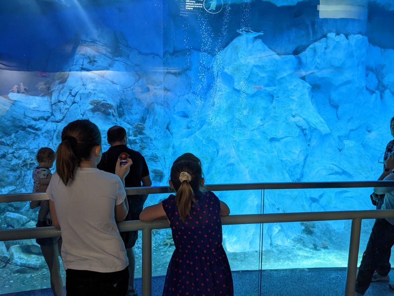 Ask Volunteers Smart Questions