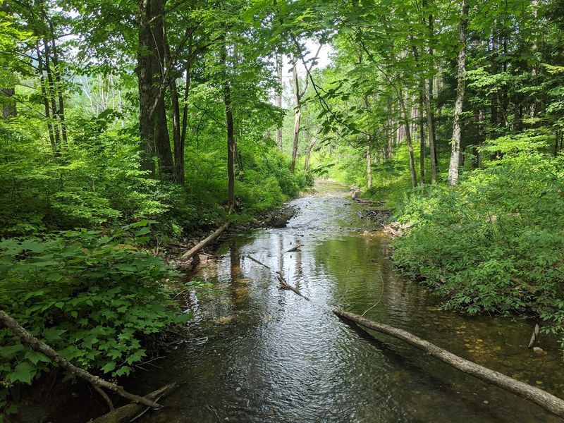 Watch For Wildlife Because The Park Is Absolutely Teeming With It