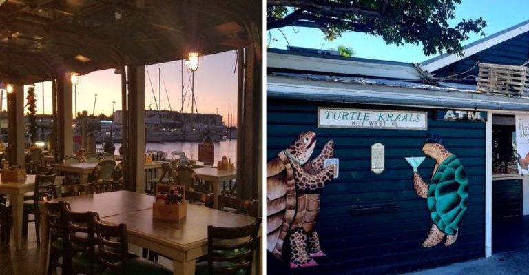 Watch Real Turtle Races At This Quirky Florida Spot Famous For Key Lime Pie Treats