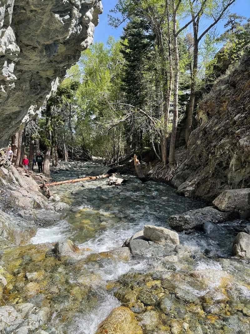 Make the Short Adventure to Zapata Falls, Near Mosca