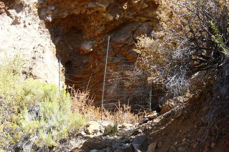 Watch Thousands Of Bats Leave The Orient Mine Watch Thousands Of Bats Leave The Orient Mine