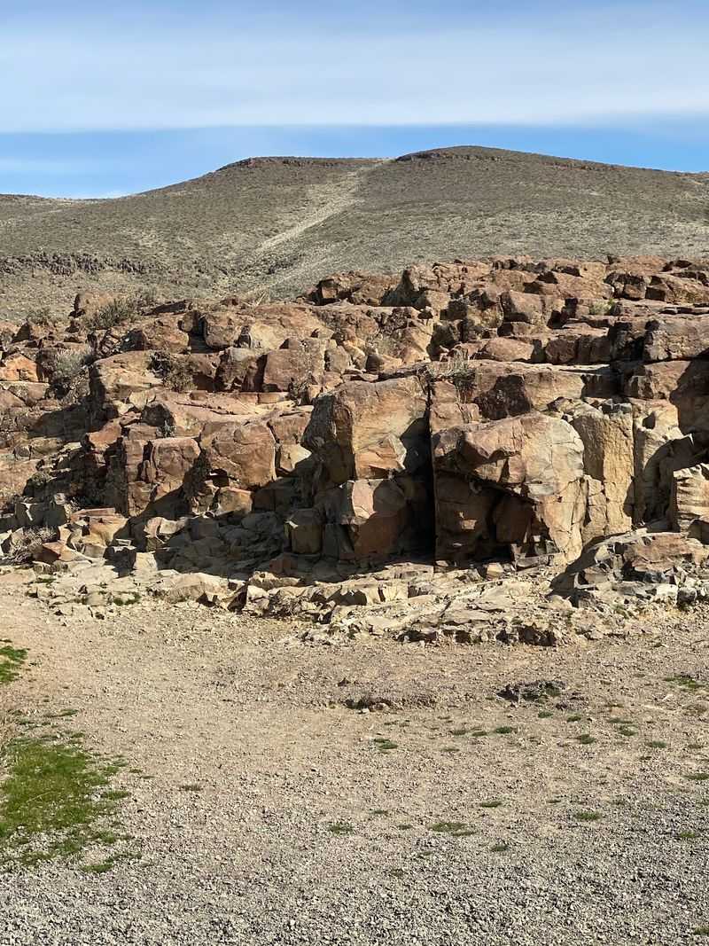 Watch Your Step For Lizards And Rattlesnakes Watch Your Step For Lizards And Rattlesnakes