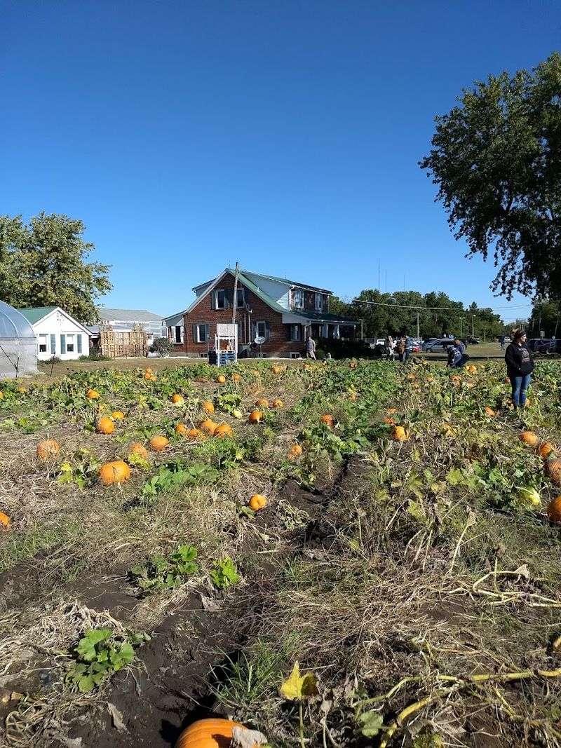 Visiting The Hermann Farm And Saturday Market