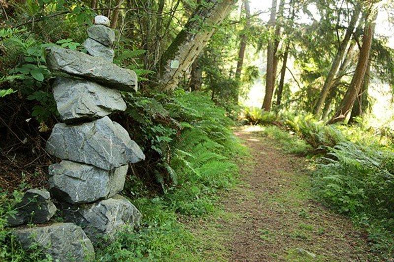 The Mood It Creates