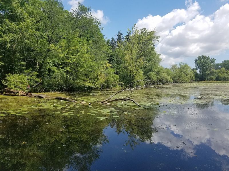 Trails That Wind Through Peaceful Natural Scenery