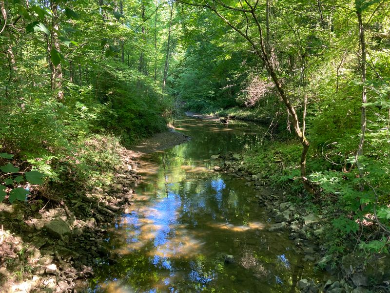 Wildlife Watching Opportunities Throughout