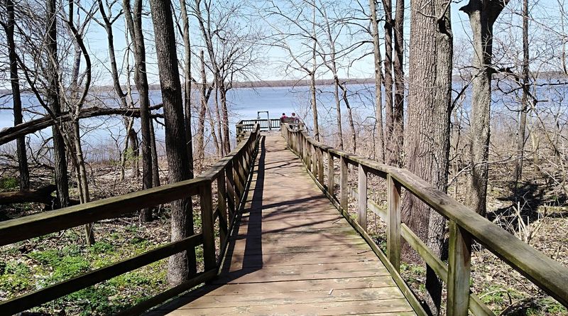 Hiking Trails Offer Close-Up Wildlife Encounters