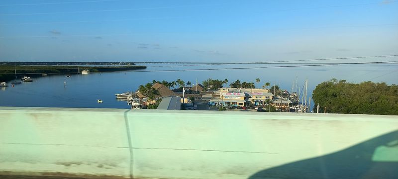 The Wildlife That Shares The Road With You