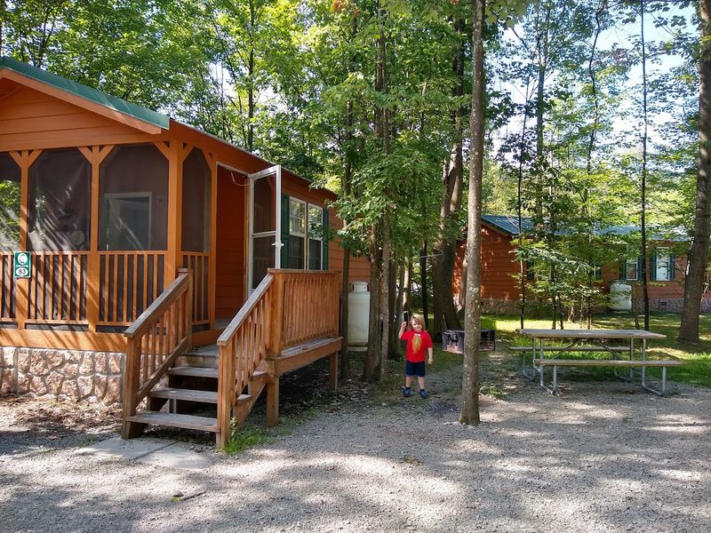 Themed Cabins That Bring Cartoon Characters To Life