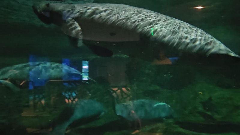 Staff Knowledge That Turns Every Exhibit Into A Conversation