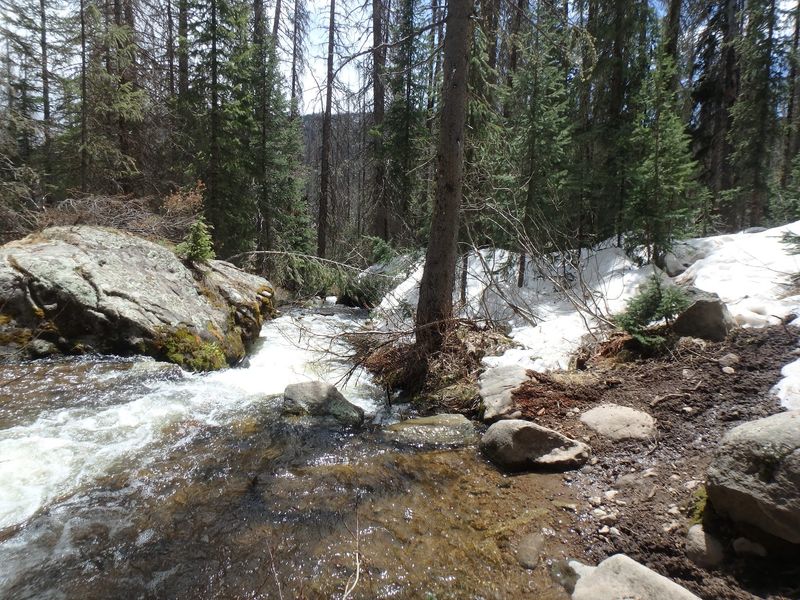 Water Shapes The Whole Visit