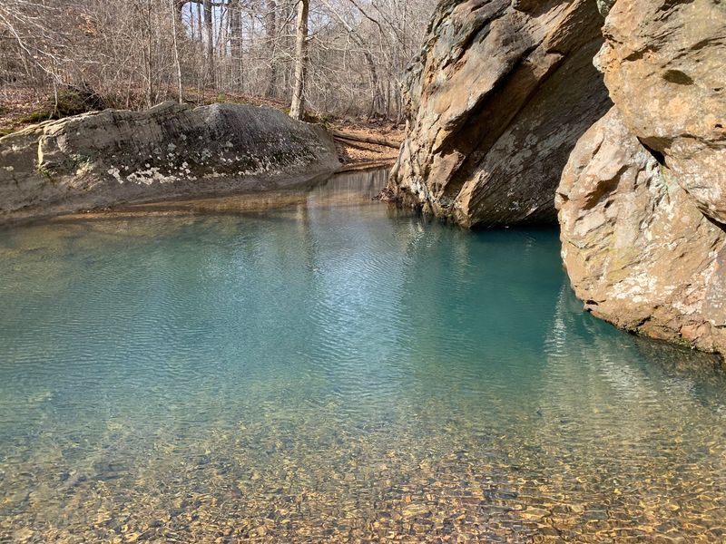 Water So Clear You Can See the Bottom