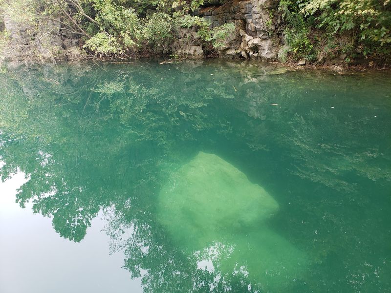 Water So Clear You Can See the Surprises Below