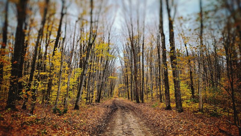 Seasonal Bugs, Snow, And Boots