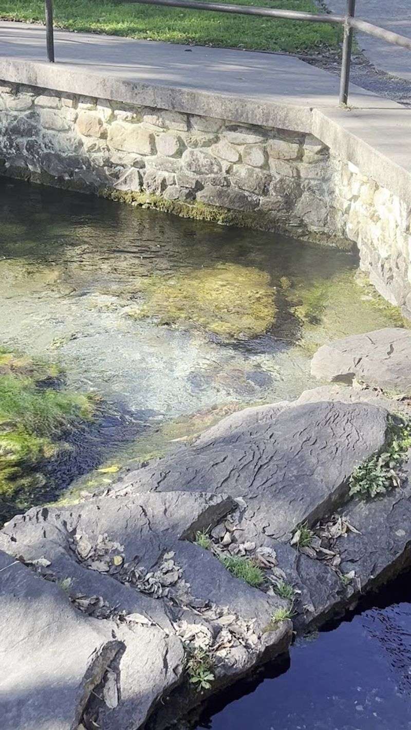 Clarity That Makes You Look Twice