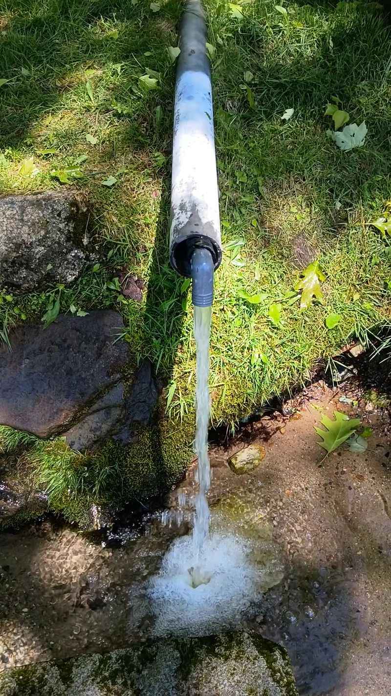 Water This Old Deserves A Little Respect Water This Old Deserves A Little Respect