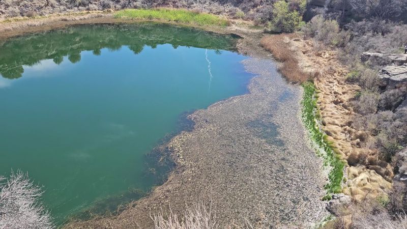 Water With A Strange Personality