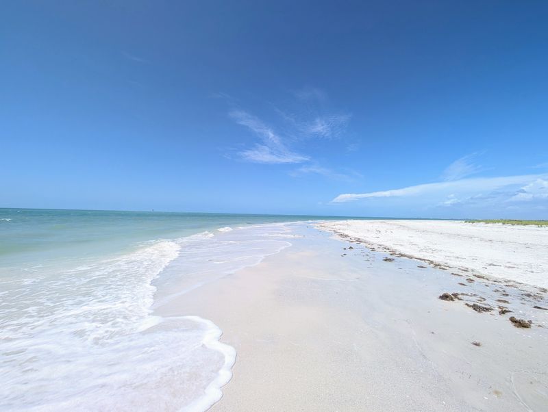 Picnic On An Island With Nothing But Everything