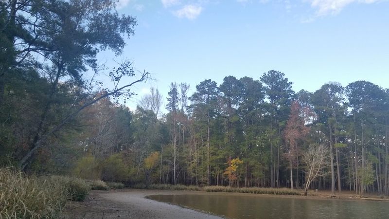Wateree River Access Opens Up Nature Wateree River Access Opens Up Nature