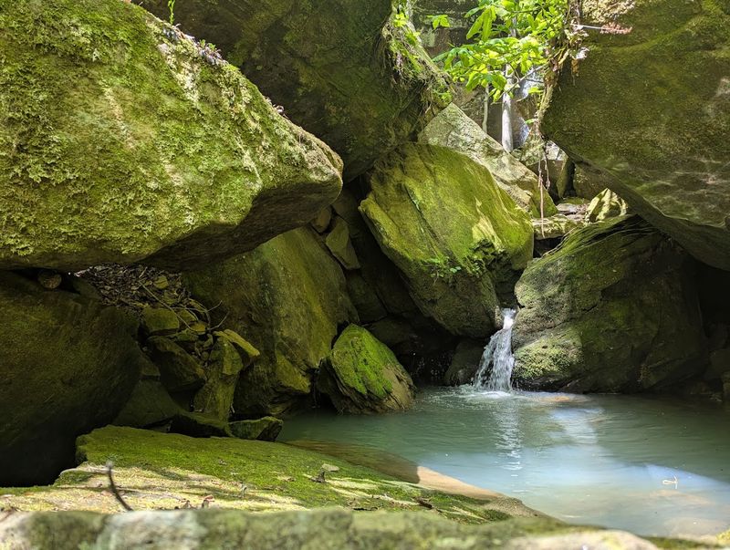 Best Conditions After Seasonal Rainfall