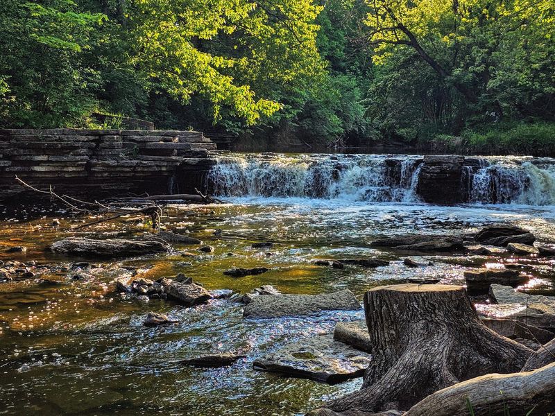 Waterfall Glen Forest Preserve, Darien, IL