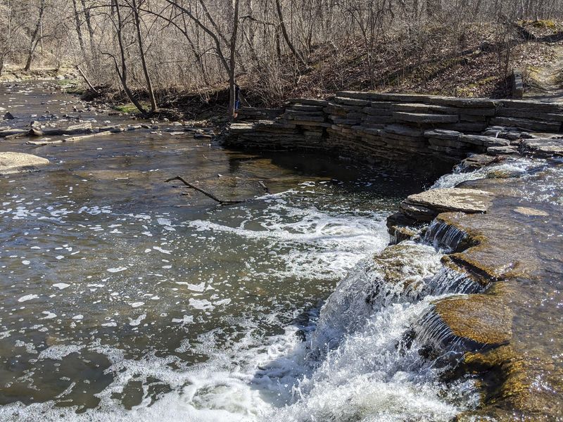 Waterfall Glen is a large, popular forest preserve