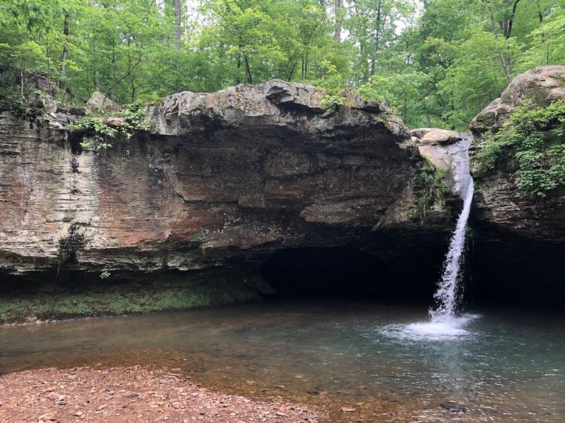 Waterfall Views From The Cabin