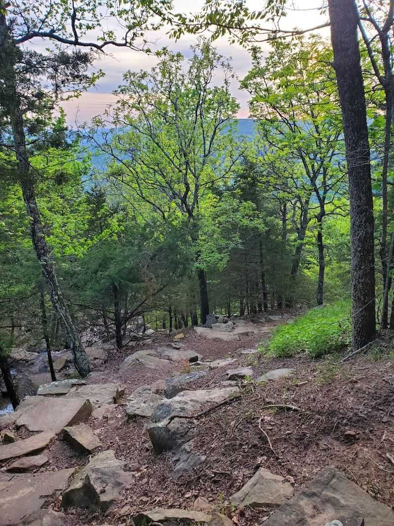 Waterfall/Gum Springs Trail, Mount Nebo State Park