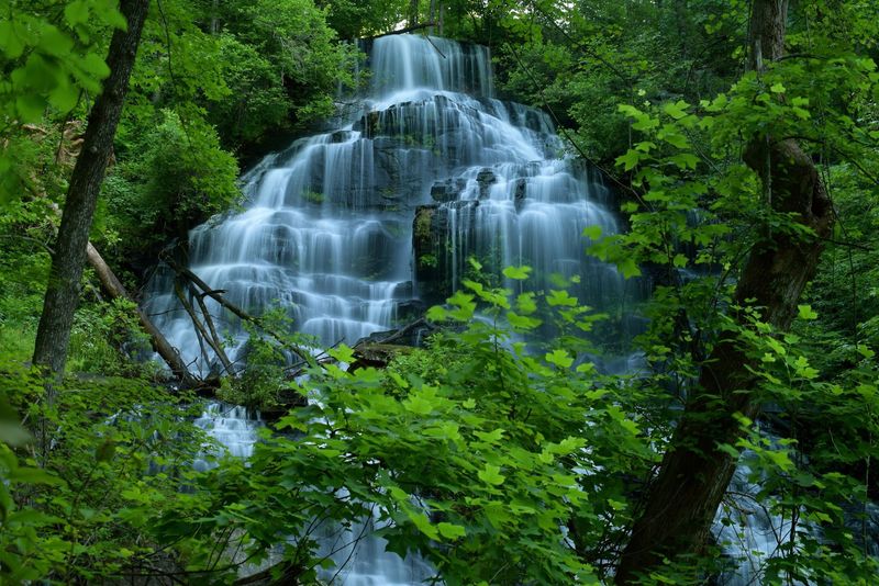 Waterfalls Bring People And Wildlife Together