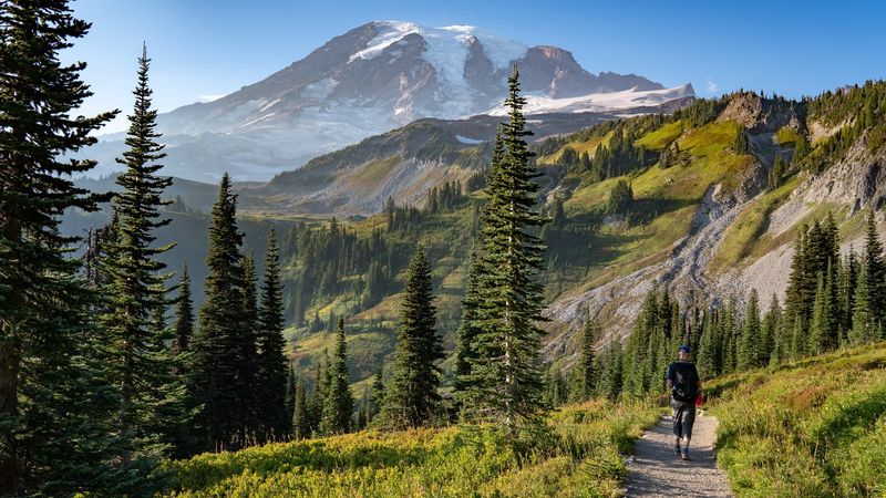 Old-Growth Forest, Alpine Tundra, And Wildflower Meadows