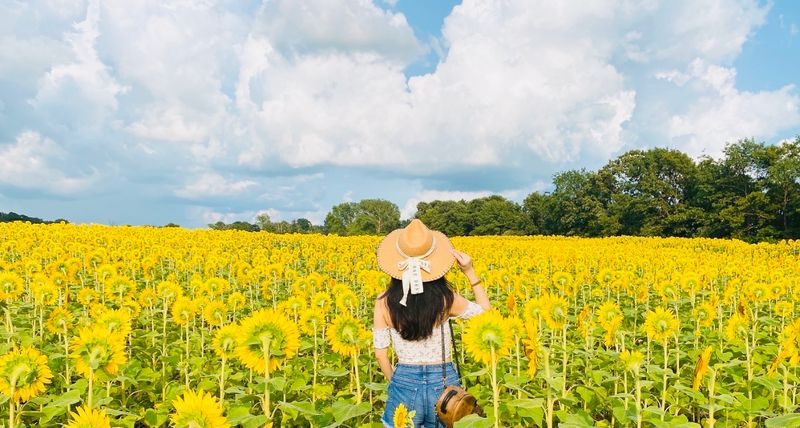 The Dells Area Offers A Multi-Level Hiking Experience