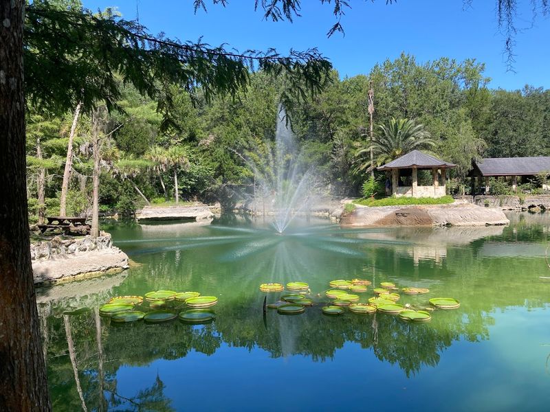 Koi Ponds and Wildlife Encounters Around Every Bend