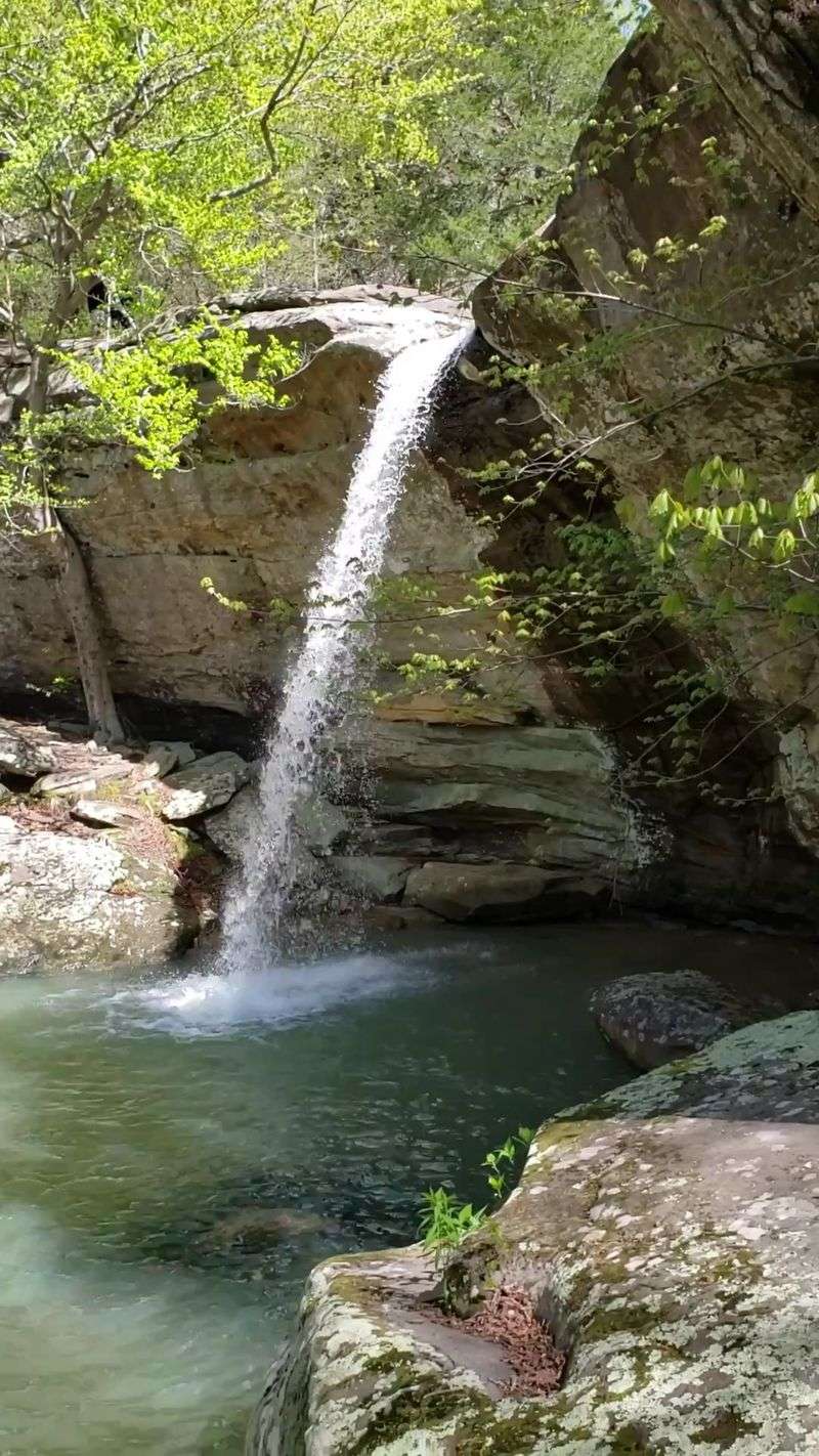 Waterfalls That Roar After the Rain