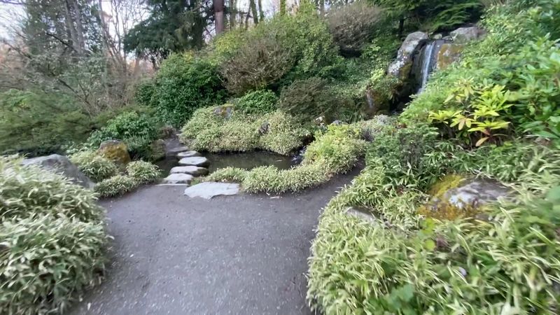 Waterfalls That Set The Soundtrack